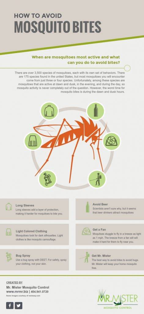 When Are Mosquitoes Most Active | Mr. Mister Mosquito ControlMr. Mister ...