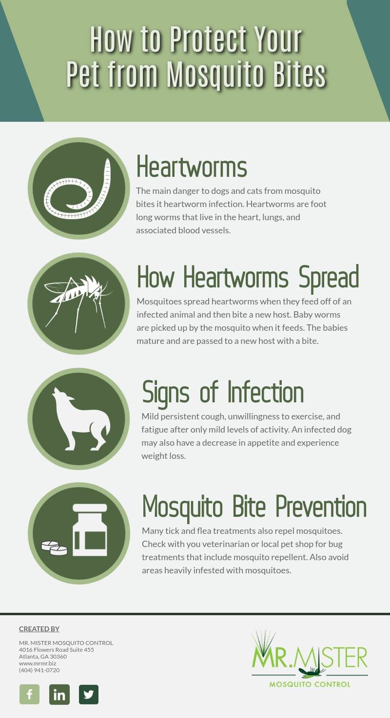 how to keep mosquitoes away from dogs