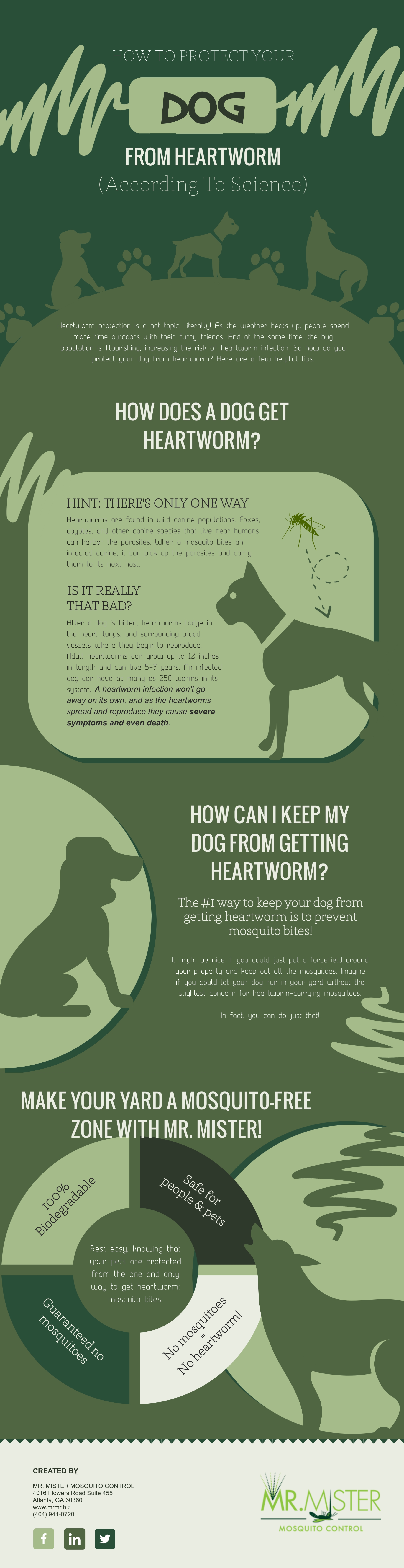 can dogs get heartworms from mosquitoes