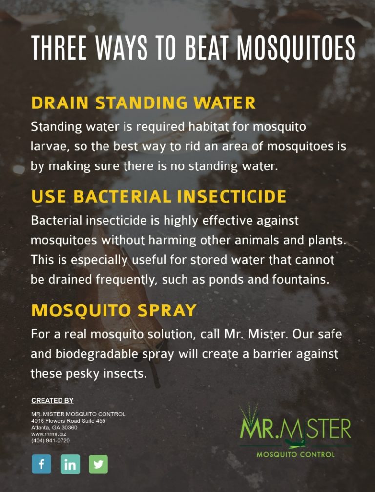 Mosquitoes And Standing Water Mr Mister Mosquito ControlMr Mister   Mosquitoes And Standing Water Infographic 768x1008 