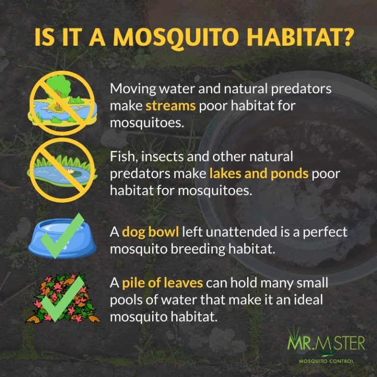 How Knowing a Mosquito's Habitat Can Aid in Mosquito Control