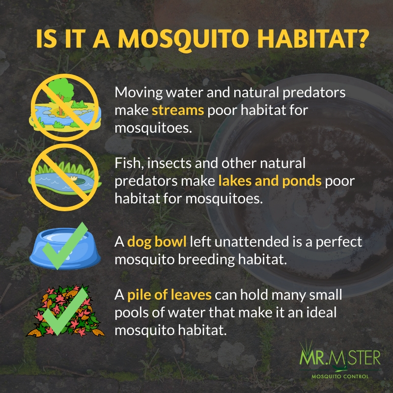 How Knowing A Mosquitos Habitat Can Aid In Mosquito Control Mr