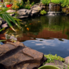 Mosquito Prevention Services for Your Pond